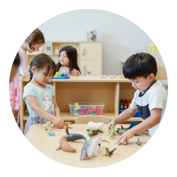 page_icon_(5).png