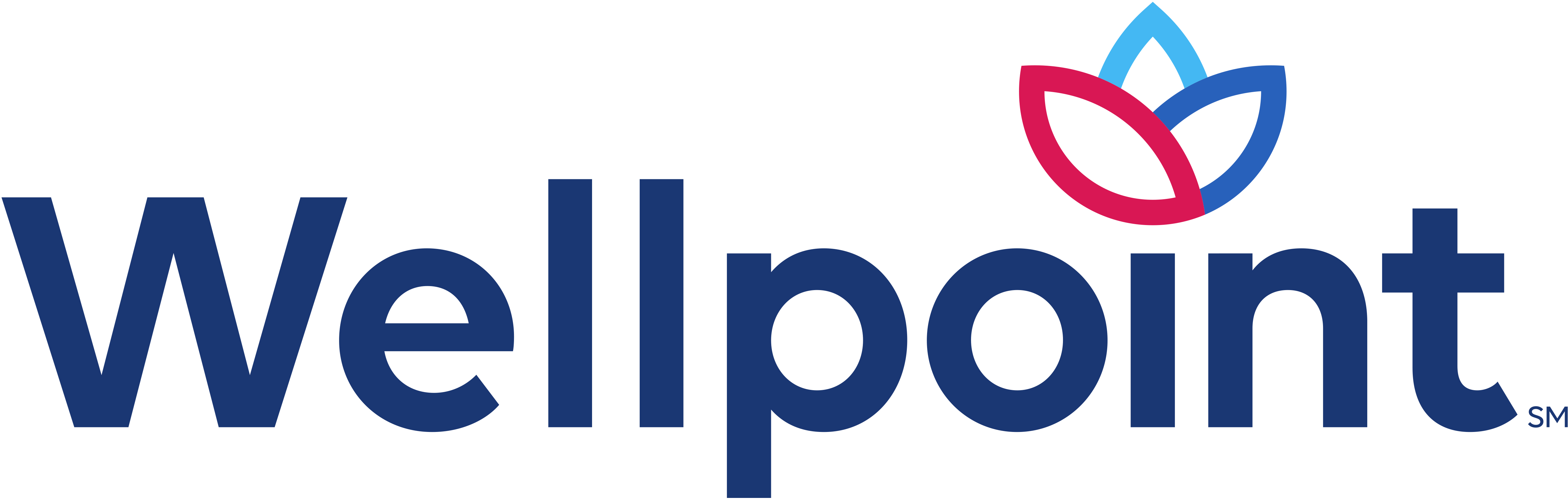 wellpoint_logo.jpg